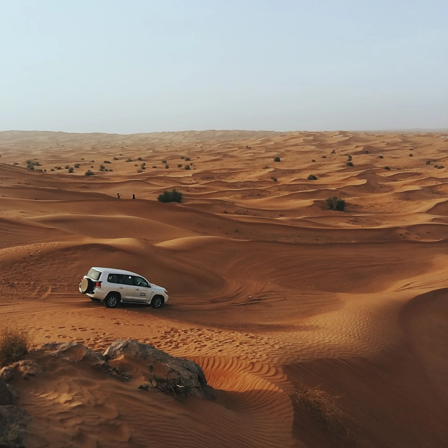 car In Desert
