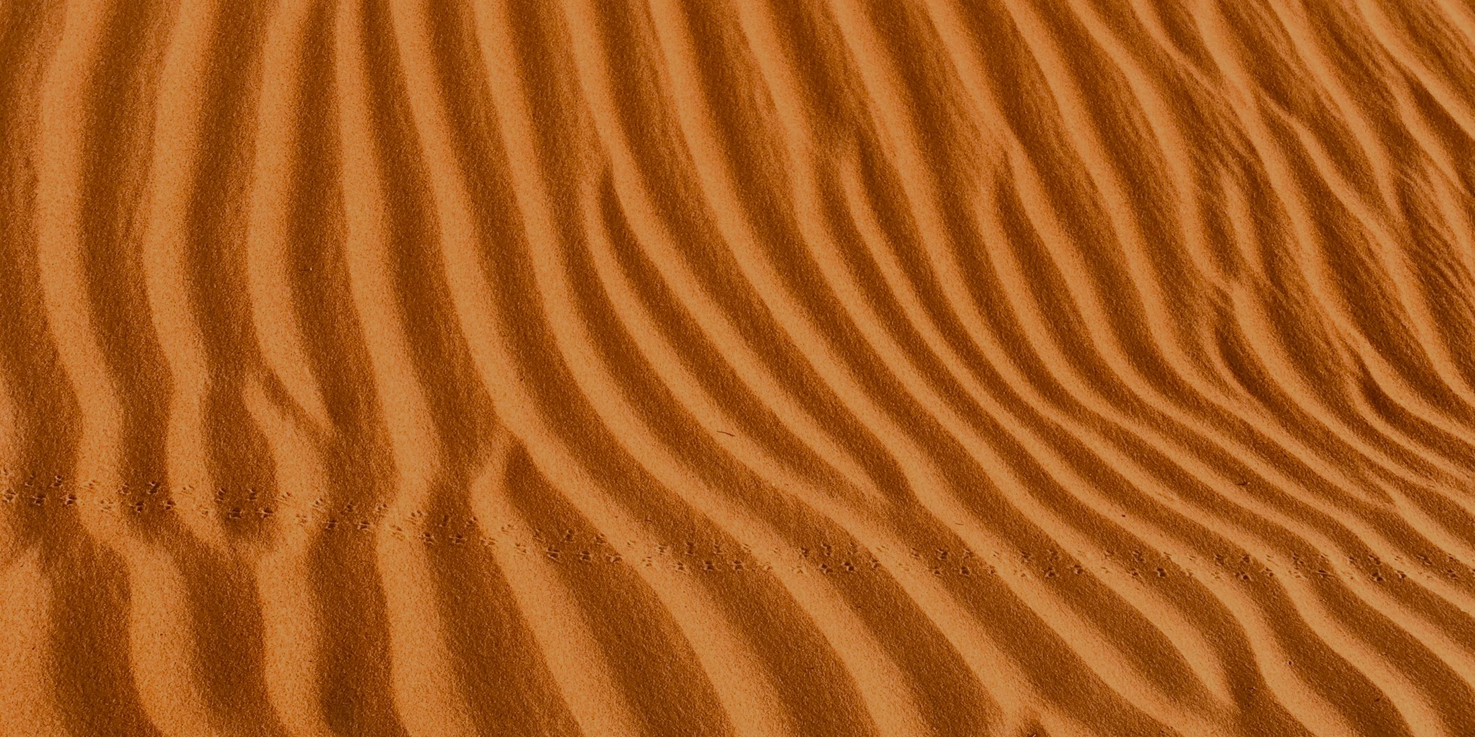 desert